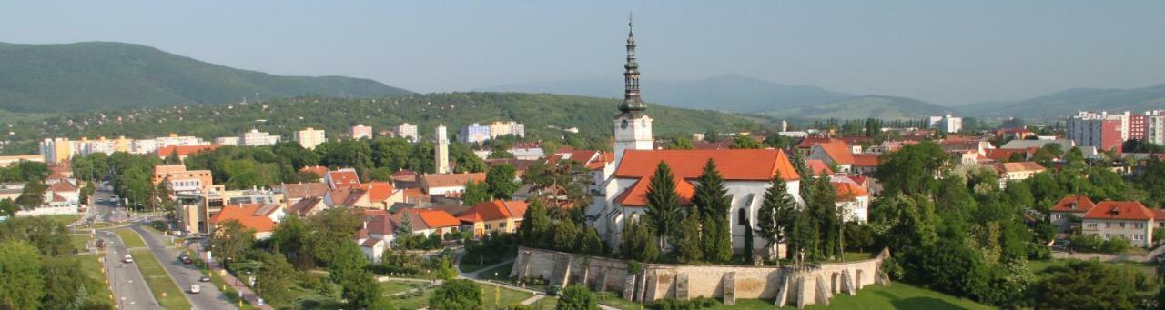 戴安娜酒店 Nové Mesto nad Váhom 外观 照片